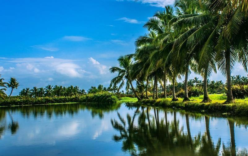 Sea Breeze Beach Home Alappuzha Extérieur photo