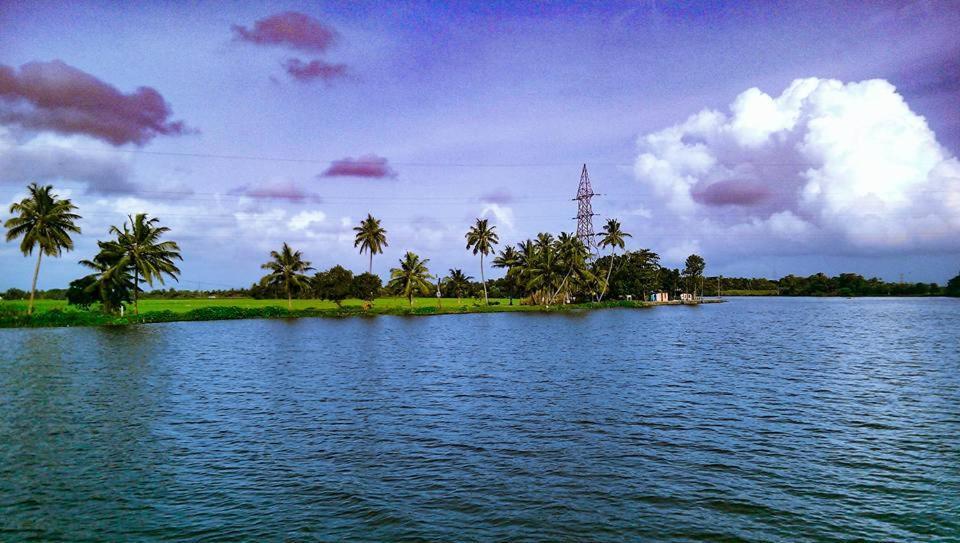 Sea Breeze Beach Home Alappuzha Extérieur photo